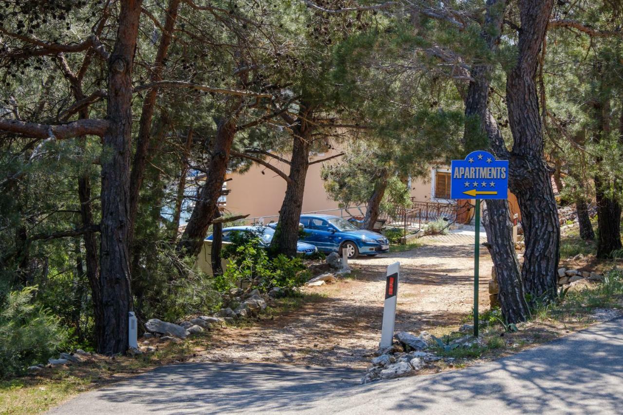 Apartmani Zorica Мартиншчица Экстерьер фото
